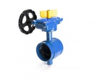 Batterfly Valve