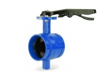 Batterfly Valve